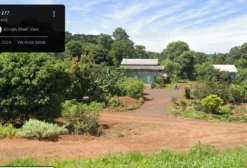 Chácara de 1 Alqueire à Venda em Guaraniaçu-PR com Duas Casas e Nascente