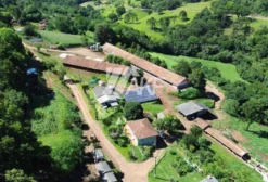 Granja de Aves Automatizada com 12 Hectares em Xaxim – SC