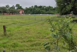 Hípica Completa com 95.380 m² em Tremembé - SP
