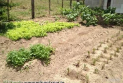 Haras e Cabanha à Venda em Mata de São João - BA