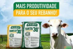 Farelo de Algodão 30% Proteína – Alimento para Ruminantes em Catalão/GO