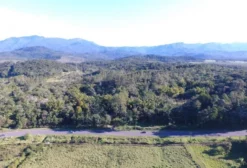 Chácara com 10 Hectares e Plantio de Palmeira Real em Morretes - PR