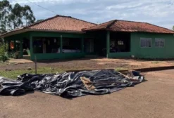 Sítio Mecanizado de 12 Alqueires em Nova Fátima