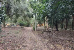 Chácara Urbana em Rio Bonito - Centro, Ideal para Loteamento Residencial e Comercial