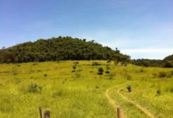 Chácara em Barra Mansa – 1.043m² com Acesso Asfaltado e Reserva Florestal