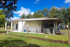 Laticínio Completo com Marca Registrada e Geração Solar – Ponta Porã/MS