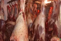 Frigorífico Bovino e Suíno em Operação – Pires do Rio, GO