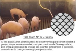 Tela Plástica para Suínos Mangueirão 1,00m x 50m - ROMA