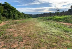 Área de 6.400 ha para Exploração de Ouro com Licença Garimpeira - Manaus/AM