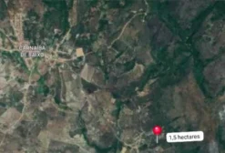 Área de 1,5 ha com Concessão de Subsolo para Extração de Esmeraldas em Pindobaçu – BA