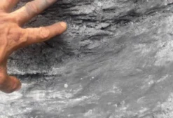 Jazida de Grafite em Água Fria, Bahia – 1.900 Hectares com Milhões de Toneladas de Reserva