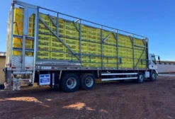 Empilhador Automático de Gaiolas para Frango - Novo - Cascavel PR