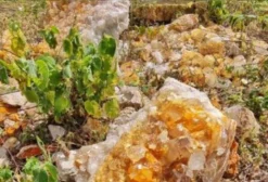 Jazida de Quartzo Cristalino com Requerimento de Pesquisa – Guaraciaba do Norte (CE)