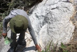 Jazida de Granito Branco Romano e Verde Exótico – 50 Hectares em João Neiva (ES)