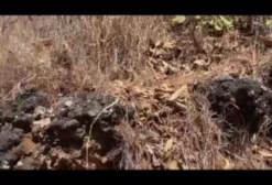 Área de Mineração de Calcário Dolomítico e Calcítico – 1.998 Hectares em Niquelândia/GO