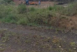 Jazida de Manganês com Licença de Lavra em Barbacena, MG