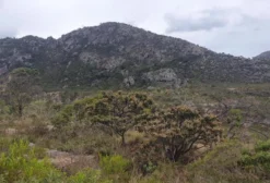 Jazida de Diamante e Outros Minerais à Venda em Francisco Dumont, MG