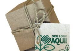 Caixinha Plante Vida - Brinde Ecológico Personalizável com Sementes de Árvore Nativa (Pacote com 100 unidades)