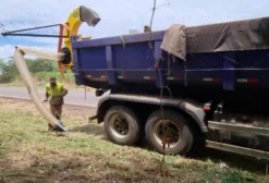 Aspirador de Folhas e Resíduos Agrícolas - Novo - Londrina/PR