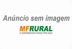 Guincho Hidráulico 20 Toneladas Revisado – Ideal para Dragas, Balsas e Mineração