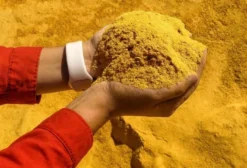 DDG em Pó com 50% de Proteína – Subproduto da Extração de Amido para Nutrição Animal (Saco 50 kg)