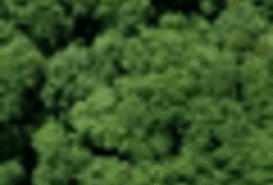 Kit Brinde Ecológico Natu Bag com Sementes - 100 Unidades