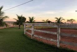 Fazenda com Haras, Energia Solar e 127 ha em Aparecida do Taboado – MS