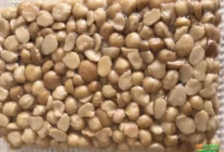 Macadâmia Natural a Vácuo - 1 kg - Arandu/SP