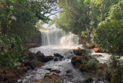 Fazenda Cachoeira – 1.581 Hectares em São Félix do Tocantins – TO