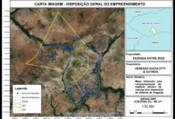 Fazenda Entre Rios – 2.382,57 ha no MATOPIBA | São Félix do Tocantins/TO