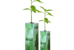 Kit Brinde Ecológico com Muda Nativa - 100 Unidades Personalizáveis