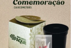 Kit Brinde Ecológico Caixinha Comemoração com Sementes – 100 Unidades