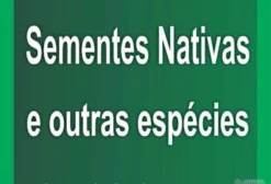 Sementes de Árvores Nativas – Mais de 400 Espécies – R$ 20/kg